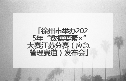 徐州市举办2025年“数据要素×”大赛江苏分赛（应急管理赛道）发布会