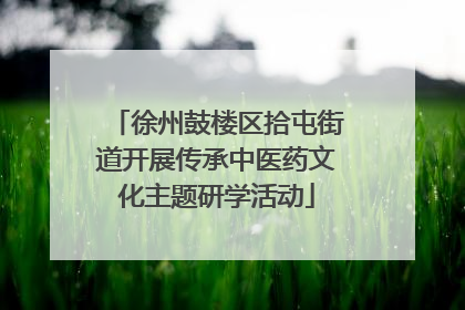 徐州鼓楼区拾屯街道开展传承中医药文化主题研学活动