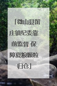 微山县留庄镇纪委靠前监督 保障夏粮颗粒归仓