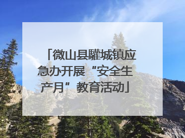 微山县驩城镇应急办开展“安全生产月”教育活动