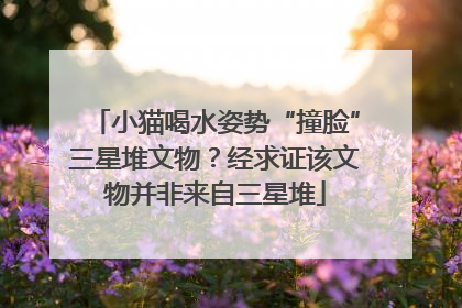 小猫喝水姿势“撞脸”三星堆文物？经求证该文物并非来自三星堆