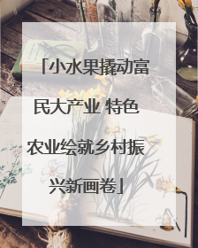小水果撬动富民大产业 特色农业绘就乡村振兴新画卷