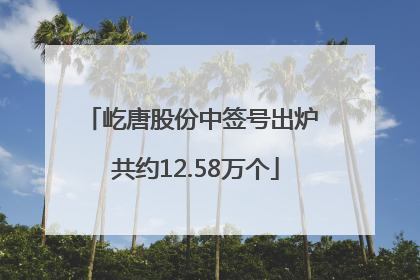屹唐股份中签号出炉 共约12.58万个