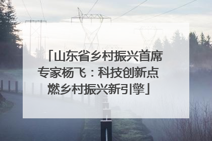 山东省乡村振兴首席专家杨飞：科技创新点燃乡村振兴新引擎