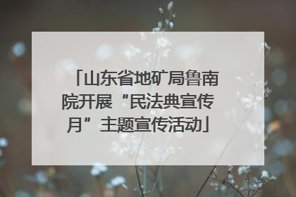 山东省地矿局鲁南院开展“民法典宣传月”主题宣传活动