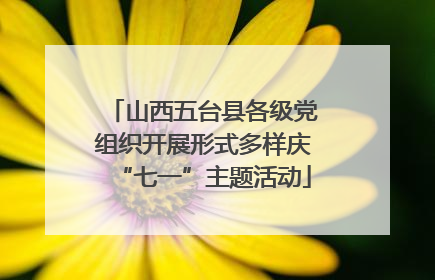 山西五台县各级党组织开展形式多样庆“七一”主题活动