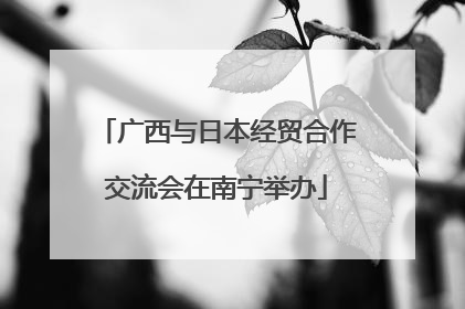 广西与日本经贸合作交流会在南宁举办