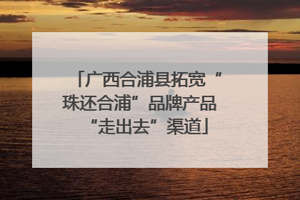 广西合浦县拓宽“珠还合浦”品牌产品“走出去”渠道