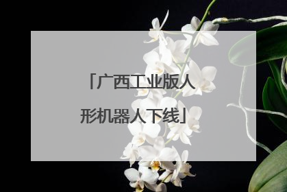广西工业版人形机器人下线