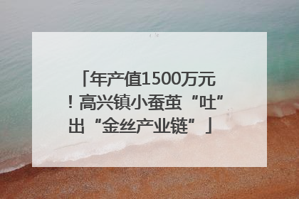 年产值1500万元！高兴镇小蚕茧“吐”出“金丝产业链”