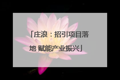 庄浪：招引项目落地 赋能产业振兴