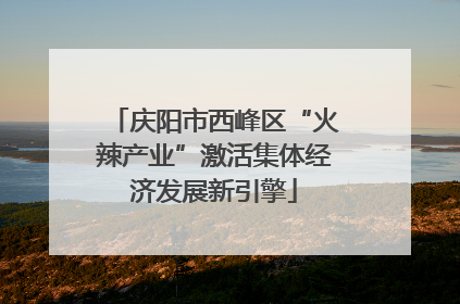 庆阳市西峰区“火辣产业”激活集体经济发展新引擎