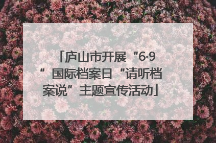 庐山市开展“6·9”国际档案日“请听档案说”主题宣传活动