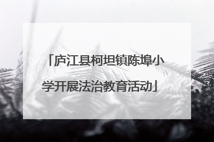 庐江县柯坦镇陈埠小学开展法治教育活动