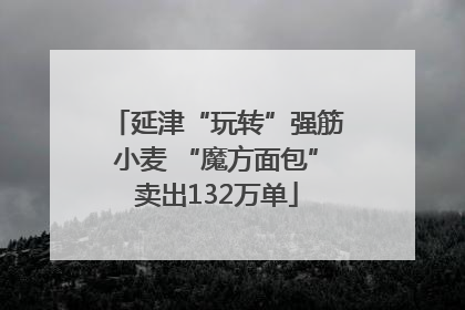 延津“玩转”强筋小麦 “魔方面包”卖出132万单