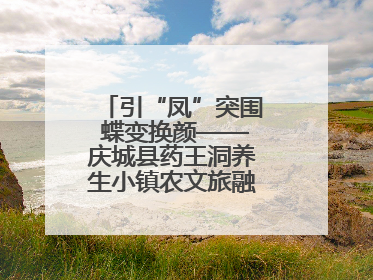 引“凤”突围 蝶变换颜——庆城县药王洞养生小镇农文旅融合发展纪实
