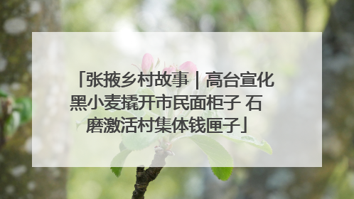 张掖乡村故事｜高台宣化黑小麦撬开市民面柜子 石磨激活村集体钱匣子