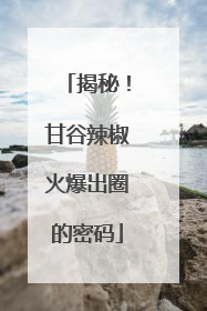 揭秘！甘谷辣椒火爆出圈的密码