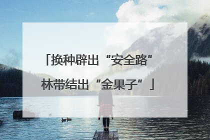 换种辟出“安全路” 林带结出“金果子”