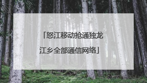 怒江移动抢通独龙江乡全部通信网络