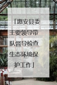 惠安县委主要领导带队督导检查生态环境保护工作
