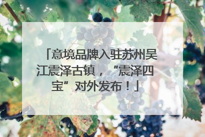 意境品牌入驻苏州吴江震泽古镇，“震泽四宝”对外发布！