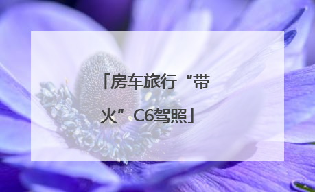 房车旅行“带火”C6驾照