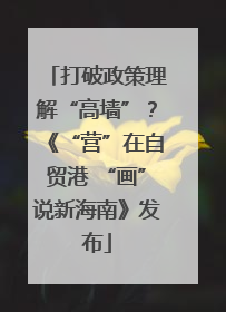 打破政策理解“高墙”？《“营”在自贸港 “画”说新海南》发布