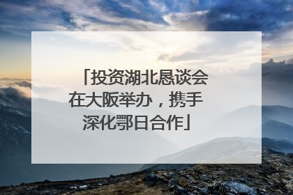 投资湖北恳谈会在大阪举办，携手深化鄂日合作