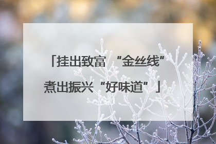 挂出致富 “金丝线” 煮出振兴“好味道”