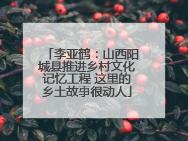 李亚鹤：山西阳城县推进乡村文化记忆工程 这里的乡土故事很动人