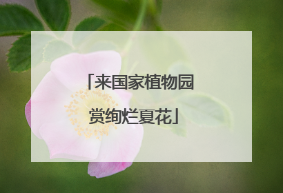 来国家植物园 赏绚烂夏花