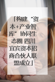 构建“资本+产业智库”协同生态圈 四川宜宾资本招商合伙人联盟成立