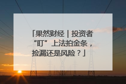 果然财经｜投资者“盯”上法拍金条，捡漏还是风险？