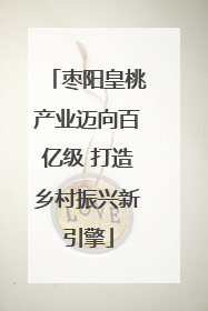 枣阳皇桃产业迈向百亿级 打造乡村振兴新引擎