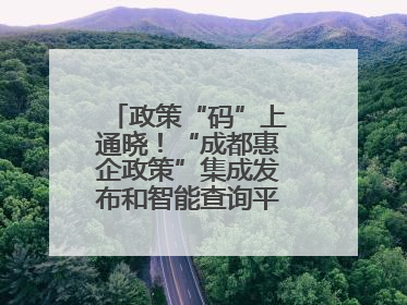 政策“码”上通晓！“成都惠企政策”集成发布和智能查询平台今日上线