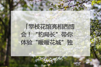 攀枝花馆亮相西博会！“豹局长”带你体验“暖暖花城”独特魅力｜西博视界