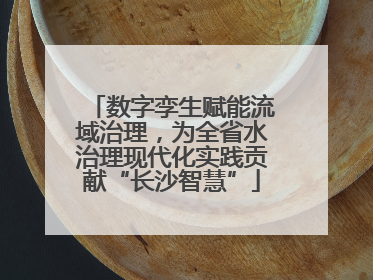 数字孪生赋能流域治理，为全省水治理现代化实践贡献“长沙智慧”