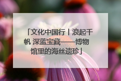 文化中国行丨浪起千帆 深蓝宝藏——博物馆里的海丝遗珍