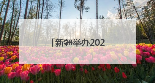 新疆举办2025年“安全宣传咨询日”活动