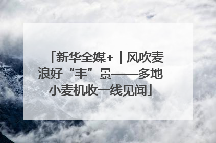 新华全媒+｜风吹麦浪好“丰”景——多地小麦机收一线见闻