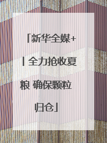 新华全媒+丨全力抢收夏粮 确保颗粒归仓