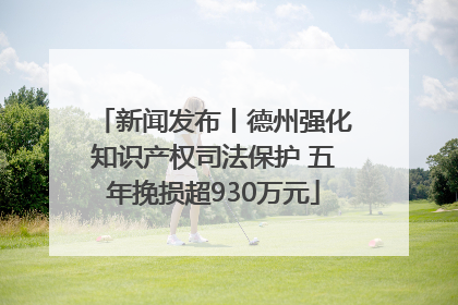 新闻发布丨德州强化知识产权司法保护 五年挽损超930万元