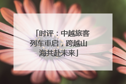 时评：中越旅客列车重启，跨越山海共赴未来