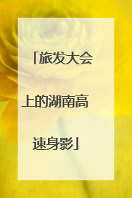 旅发大会上的湖南高速身影