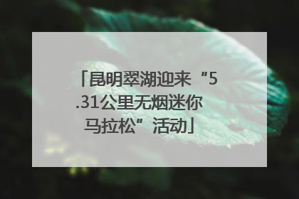 昆明翠湖迎来“5.31公里无烟迷你马拉松”活动