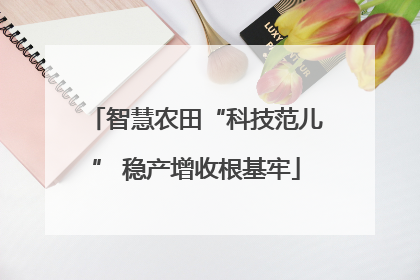 智慧农田“科技范儿” 稳产增收根基牢