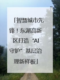 智慧城市先锋！东湖高新区打造“AI守护”基层治理新样板