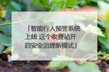 智能行人预警系统上线 这个收费站开启安全治理新模式