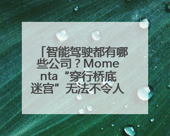智能驾驶都有哪些公司？Momenta“穿行桥底迷宫”无法不令人印象深刻！
